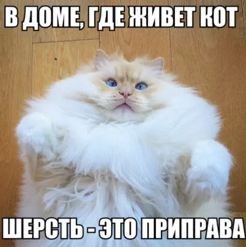 Смешная картинка №185048
