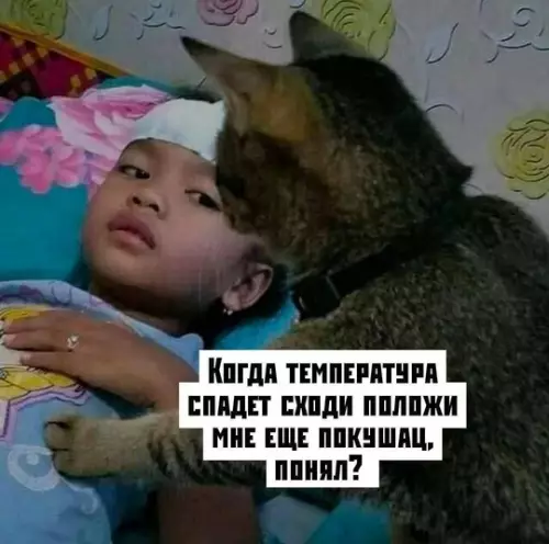 Смешная картинка №777427