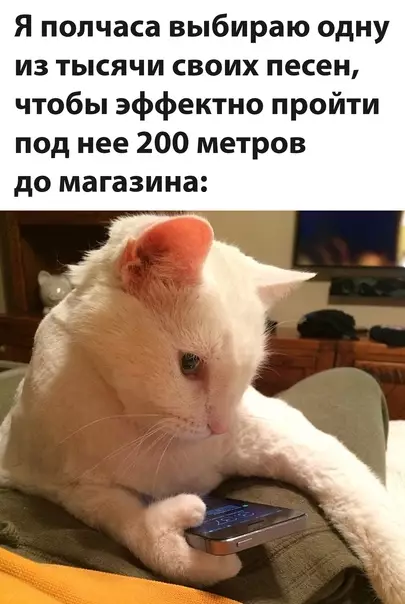 Смешная картинка №623447
