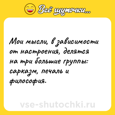 Шутка: Мои мысли, в зависимости от настроения, делятся на три большие группы: сарказм, печаль и философия.