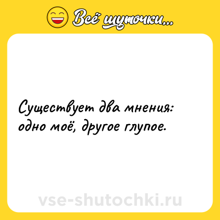 Шутка: Существует два мнения: одно моё, другое глупое.