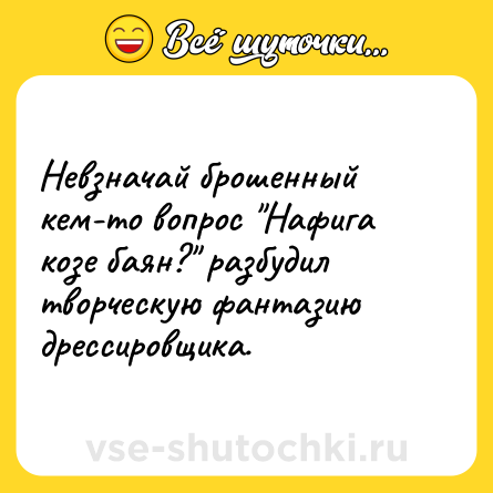 Шутка: Невзначай брошенный кем-то вопрос 