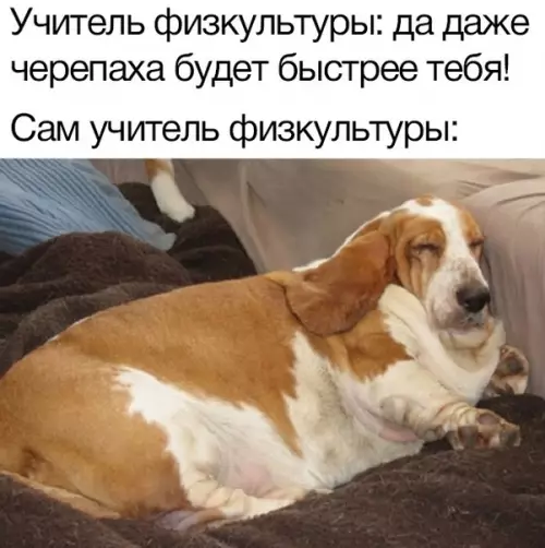 Смешная картинка №379421 школа