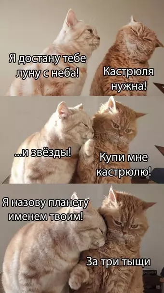 Смешная картинка №494943
