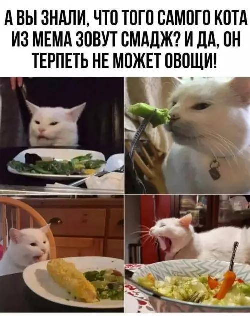 Смешная картинка №786657