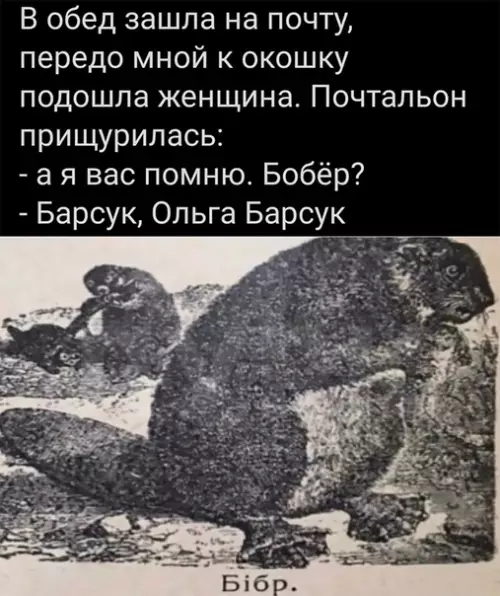 Смешная картинка №590643 Бoбp
