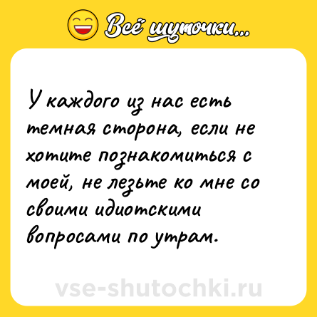 Шутка: У каждого из нас есть темная сторона, если не хотите познакомиться с моей, не лезьте ко мне со своими идиотскими вопросами по утрам.