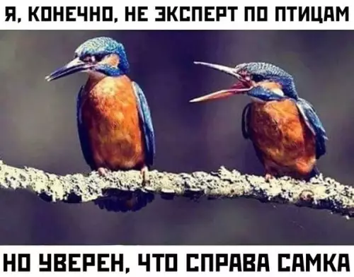 Смешная картинка №380241