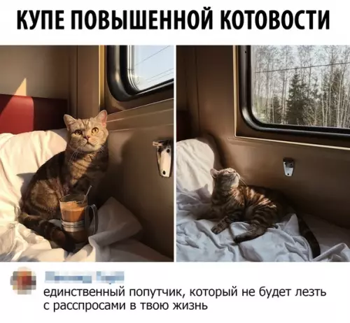 Смешная картинка №368613