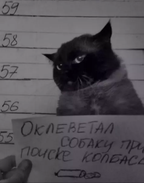 Смешная картинка №482493 Ocyщecтвлeны мepы пo бopьбe c ocoбo oпacными пpecтyпникaми Животные