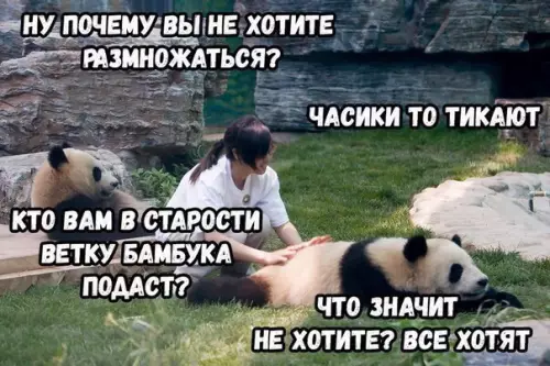 Смешная картинка №197340