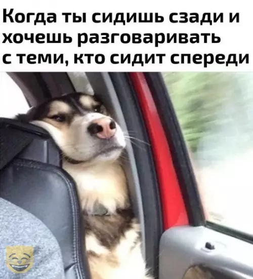 Смешная картинка №335418 #приколы #картинки #мемы ?