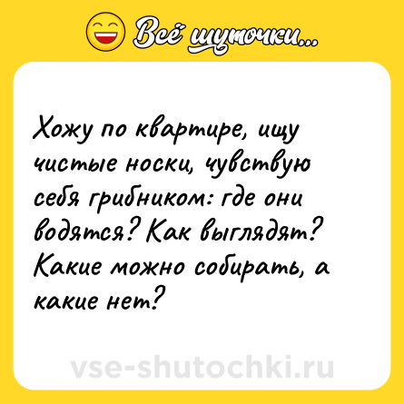 Шутка: Хожу по квартире, ищу чистые носки, чувствую себя грибником: где они водятся? Как выглядят? Какие можно собирать, а какие нет?