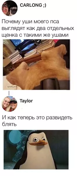 Смешная картинка №312207