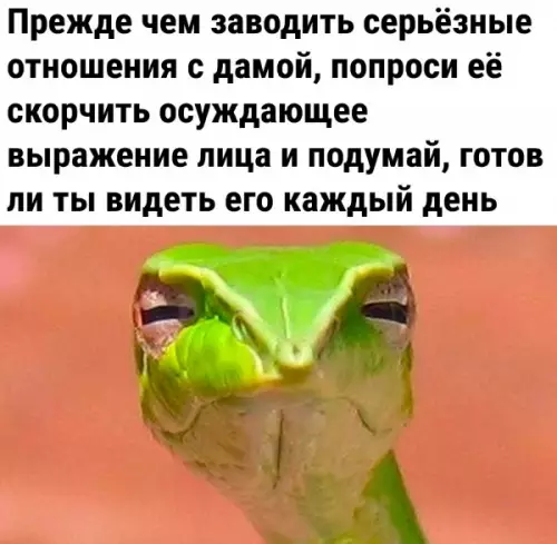 Смешная картинка №646265