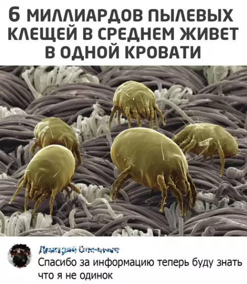 Смешная картинка №572129