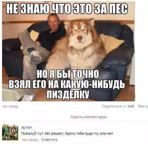 Смешная картинка №180666