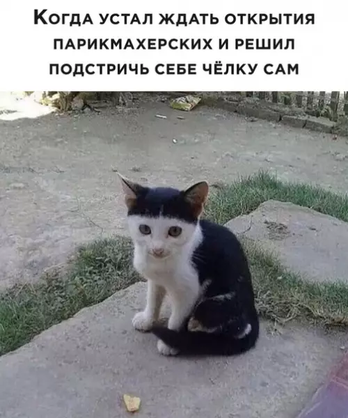 Смешная картинка №496787