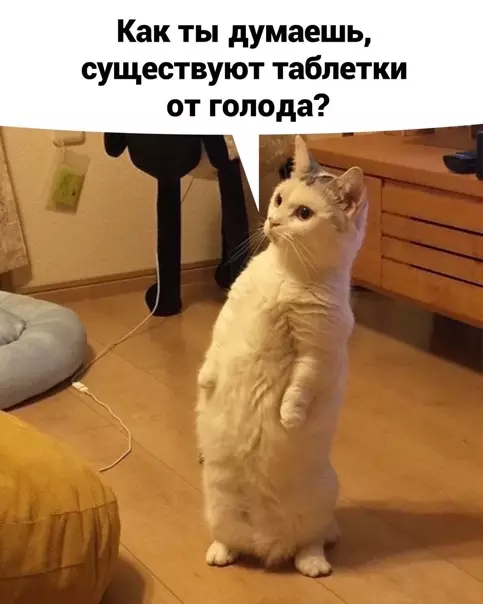 Смешная картинка №556061