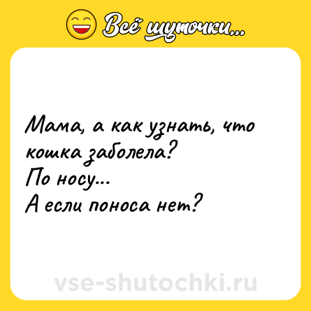Шутка: Мама, а как узнать, что кошка заболела?<br>По носу...<br>А если поноса нет?