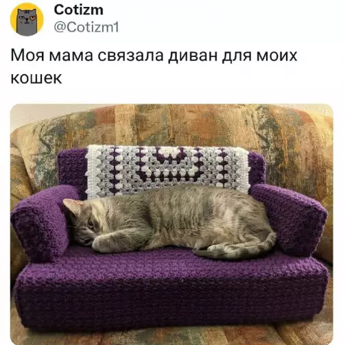 Смешная картинка №748887