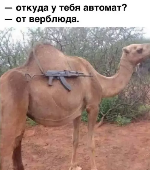 Смешная картинка №670104