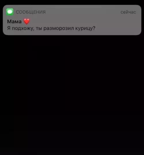 Смешная картинка №522926 За 5 минут до смерти 