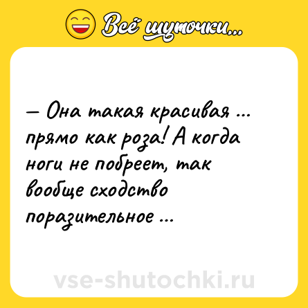 Шутка: — Она такая красивая … прямо как роза! А когда ноги не побреет, так вообще сходство поразительное …