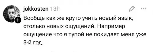 Юмор про изучение языков - Вообще как же круто учить новый язык, столько новых ощущений.