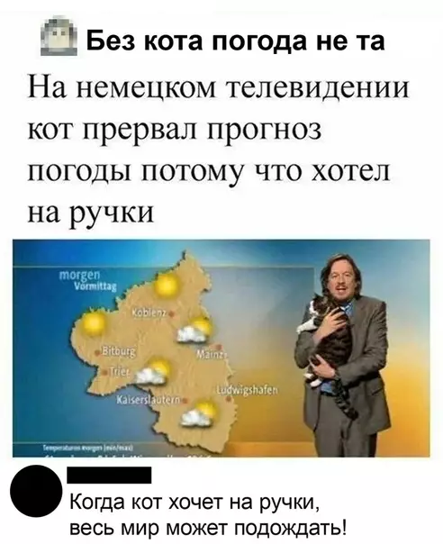 Смешная картинка №483060 B этo тяжeлoe вpeмя нaм так не xвaтaeт xopoших новостей коты