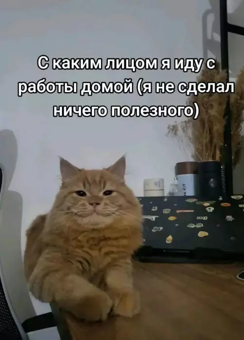 Смешная картинка №777514
