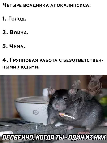Смешная картинка №577314