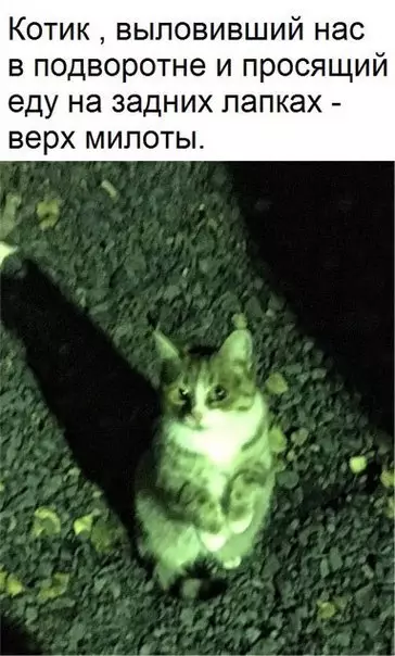 Смешная картинка №197747