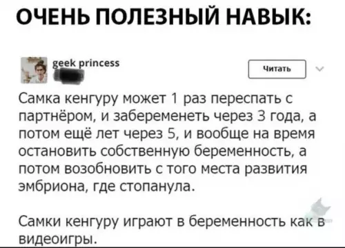 Смешная картинка №316959