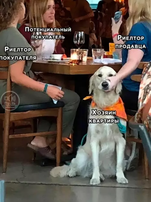 Смешная картинка №647715