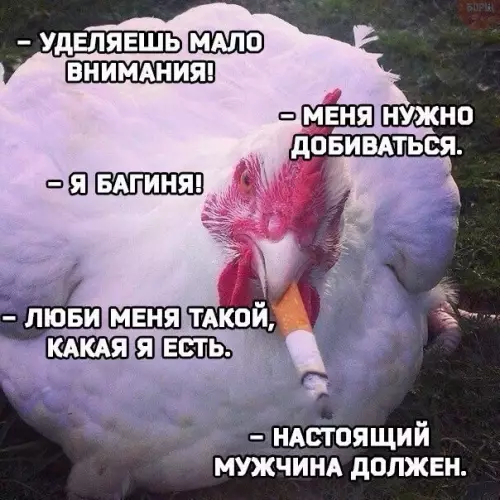 Смешная картинка №245779