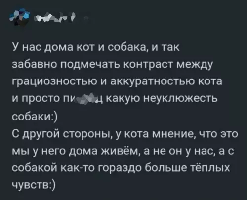 Смешная картинка №675399 Животные