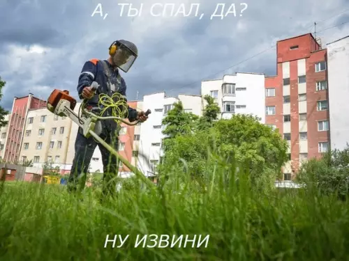 Смешная картинка №282442