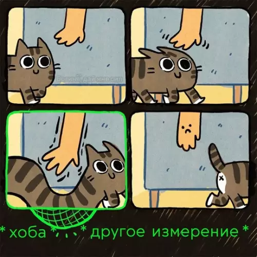 Смешная картинка №762673