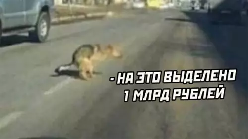продолжение Смешная картинка №568355