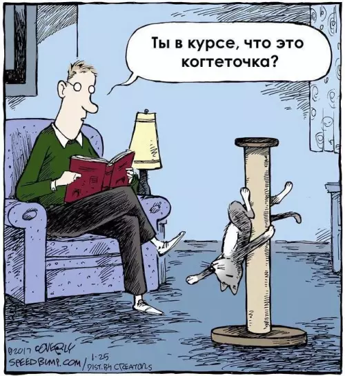 Смешная ситуация с котом и когтеточкой