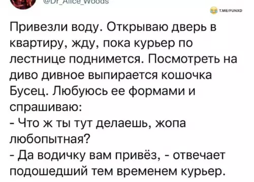Смешная картинка №685101