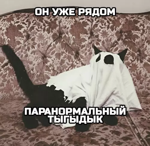 Смешная картинка №735091