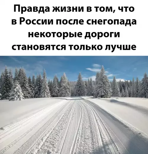 Смешная картинка №709245