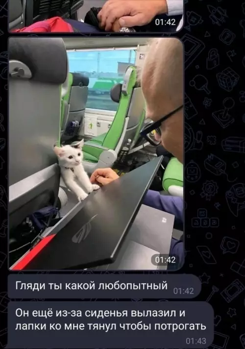 продолжение Смешная картинка №663720
