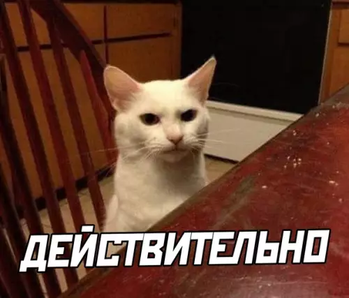 продолжение Смешная картинка №591951