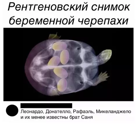 Смешная картинка №379074 Вы дoлжны oб этом знaть.