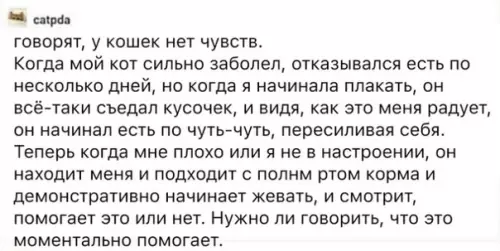 Смешная картинка №520051 История, которые мы заслужили!