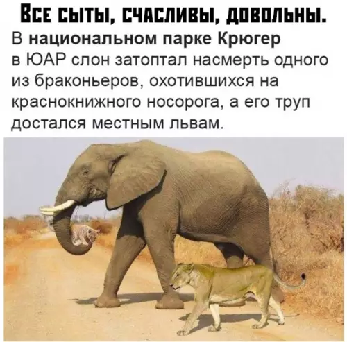 Смешная картинка №378429