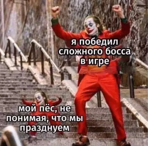 Смешная картинка №727050 собаки